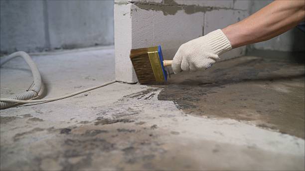 SJ Waterproofing Pros Waterproofing coverage map for Holton, KS and surrounding area